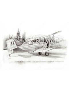 HAF Grumman Ag-Cat art print