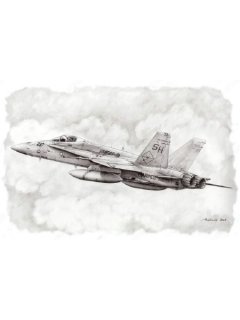 VMFAT-101 SHARPSHOOTERS F/A-18 HORNET - Αντίγραφο έργου Aviation Art