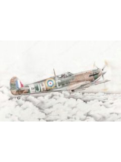 Polish Spitfire art print