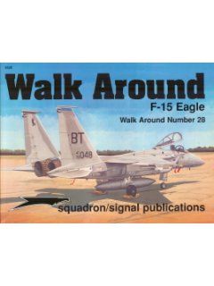 F-15 Eagle Walk Around