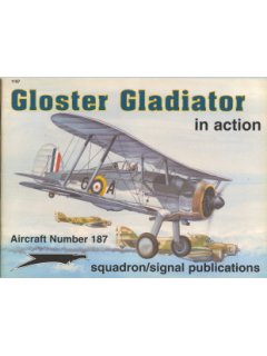 Gloster Gladiator in Action, Squadron
