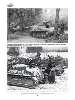 German Panzers and Allied Armour in Yugoslavia in World War Two, Tankograd