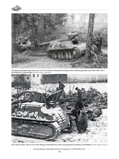 German Panzers and Allied Armour in Yugoslavia in World War Two
