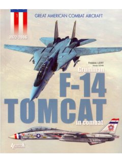 Grumman F-14 Tomcat in Combat