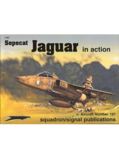 Sepecat Jaguar in Action