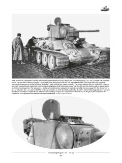 Panzerkampfwagen T 34-747(r), Tankograd 