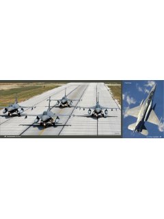 HAF 340 Squadron - 60 Years, Eagle Aviation