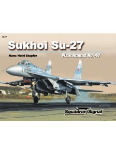 Sukhoi Su-27 Walk Around