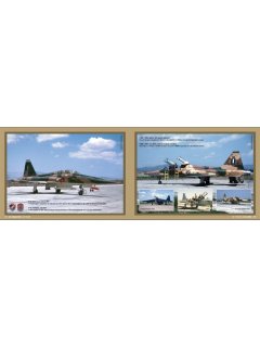 341 Squadron - 60 Years (Συλλεκτική Έκδοση), Γιάννης Λέκκας