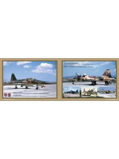 341 Squadron - 60 Years