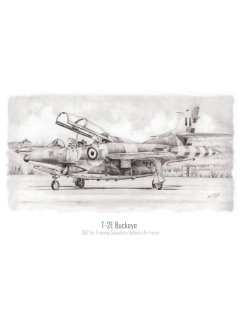 HAF T-2E Buckeye art print