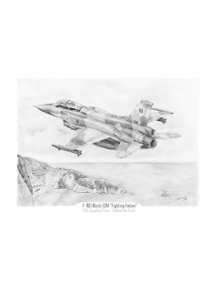 F-16D Block 52M / HAF 335 Squadron Art print