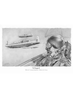 HAF T-6 Texan II Art Print