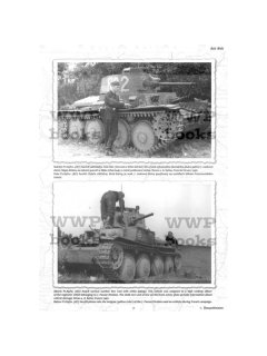 Pz.Kpfw. 38(t) in Wehrmacht - Part I, Capricorn