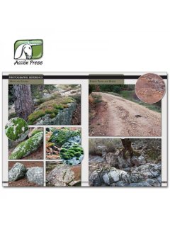 Landscapes of War Vol. I