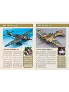 Model Laboratory No 04: Kursk - Il-2M Stormovik & Junkers Ju 87G-1