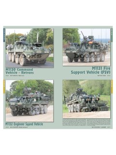 Stryker Upgrades, WWP
