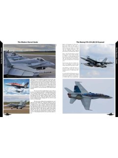 The Modern Hornet Guide, Reid Air 