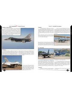 The Early Viper Guide, Reid Air Publications