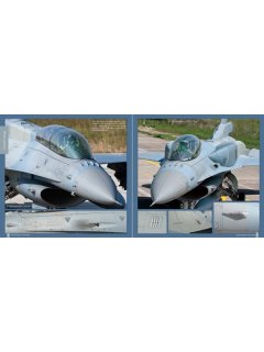 F-16 Fighting Falcon: Viper Under the Skin, Eagle Aviation