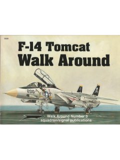 F-14 Tomcat Walk Around