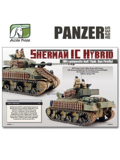Panzer Aces No 50