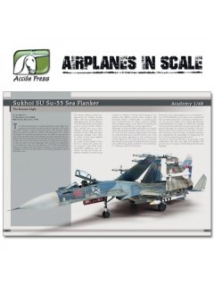 Airplanes in Scale - The Greatest Guide Vol. 2: Jets