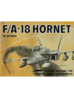 F/A-18 Hornet in Action