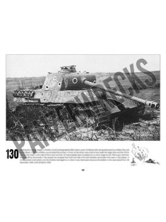 Panzerwrecks 20