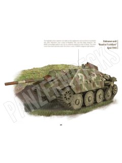 In Focus 1: Jagdpanzer 38, Panzerwrecks