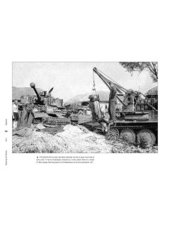 Repairing the Panzers Vol.2