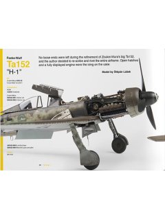 Wingspan Vol.2: 1/32 Aircraft Modelling, Canfora
