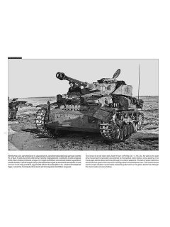Panzer IV on the Battlefield, Peko