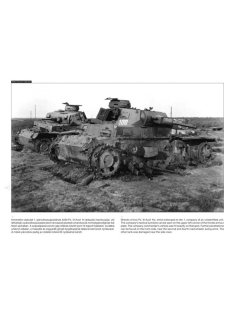 Panzerwaffe on the Battlefield, Peko