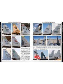 The Modern Eagle Guide, Reid Air Publications