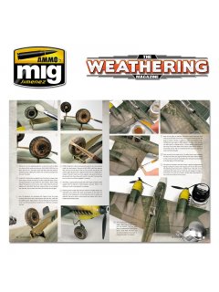 The Weathering Magazine 19: Pigments