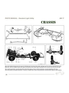 Truck 4X2 Light Utility, Capricorn