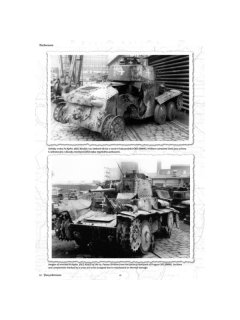 Pz.Kpfw. 38(t) in Wehrmacht - Part 2, Capricorn