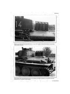 Pz.Kpfw. 38(t) in Wehrmacht - Part 2, Capricorn