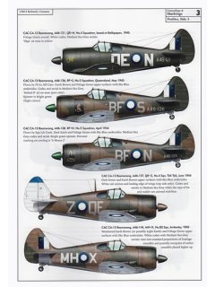 CAC Boomerang, Valiant Wings