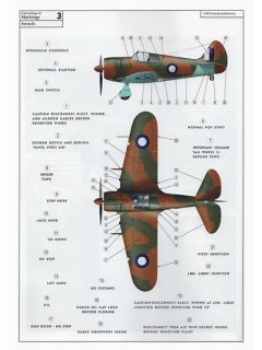 CAC Boomerang, Valiant Wings