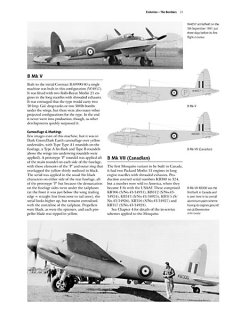 Mosquito - Part 1 , Valiant Wings