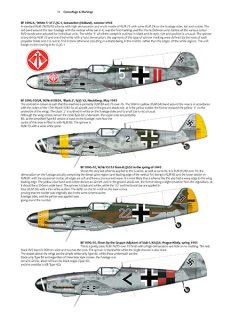 Messerschmitt Bf 109 - Late Series, Valiant Wings