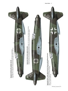 Dornier Do 335, Valiant Wings 