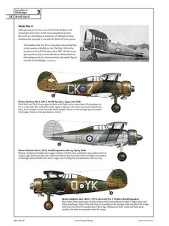 Gloster Gladiator, Valiant Wings