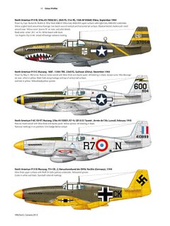 P-51 Early Mustang, Valiant Wings