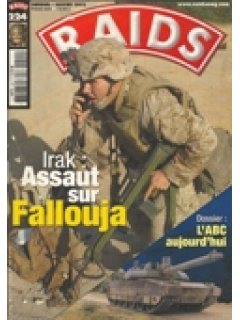 RAIDS (γαλλική έκδοση)