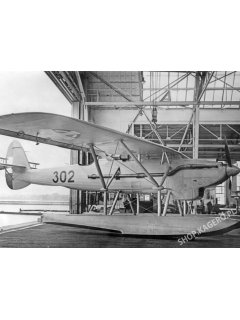 Dornier Do 22, Kagero