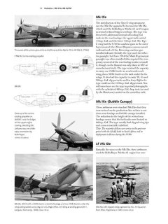 Spitfire - Part 1, Valiant Wings