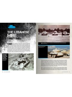 T-34 and the IDF, Abteilung 502